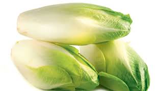 Endive Cichorium endivia is a vegetable very beneficial [upl. by Ahtabbat]