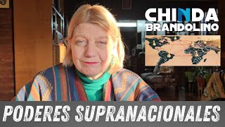 Los Poderes Supranacionales  Dra Chinda Brandolino [upl. by Ainahs660]