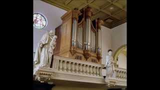 Joseph Haydn Organ Concertos Ton Koopman 12 [upl. by Odoric832]