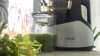 HOW TO DO THE CELERY JUICE CHALLENGE [upl. by Atiuqel48]