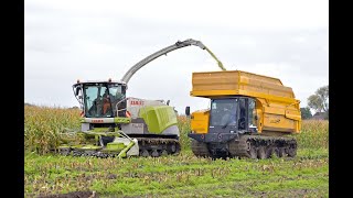 Maïs 2023  Damsteegt  Heijdra  Claas Jaguar 940 on tracks  Prinoth Panther  IHI  Wet field [upl. by Weathers]