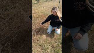 testing an electric fence science [upl. by Kcirttap121]