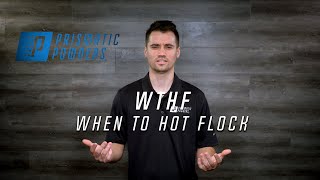 Prismatic Powders  WTHF  When To Hot Flock [upl. by Enicnarf]