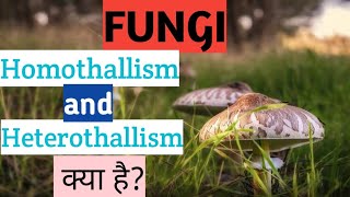 homothallism and heterothallism kya h in hindi [upl. by Ormiston]