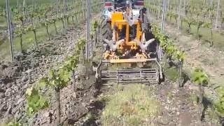 Désherber les rangs de vignes avec le CultivateurInterceps Pellenc [upl. by Arbe366]