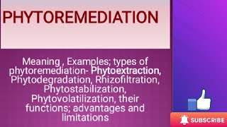 Phytoremediation Types of Phytoremediation Advantages and Limitations [upl. by Fairley558]