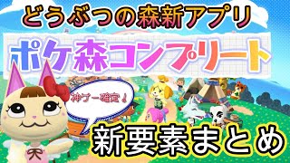 どうぶつの森新アプリがついに発表！ポケ森コンプリートの判明している新要素、注意点まとめ【どうぶつの森ポケットキャンプ】 [upl. by Hras811]