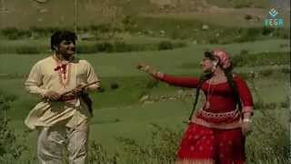 Nede Thelisindi Eenade Thelisindi Video Song  Aaradhana  NTRVanisri [upl. by Borg]