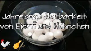 Hähnchen amp Eier Jahre haltbar  Monsieur Cuisine TH [upl. by Kos418]