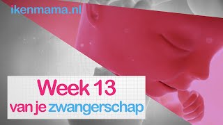 13 weken zwanger  ikenmamanl [upl. by Aicel]