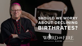 Should We Worry About Declining Birth Rates [upl. by Launcelot514]