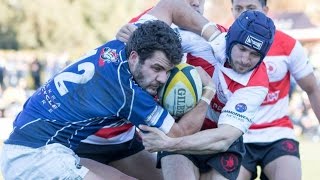 Grand Final Tuggeranong Vikings vs Royals Highlights [upl. by Gardal149]