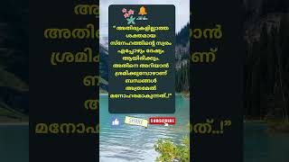 Motivational quotes Malayalam motivation Buddha quotes Relax and Smile [upl. by Gronseth]