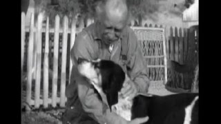 Lassie  Episode 244  quotCullys Hound Dogquot Season 7 Ep 25  03051961 [upl. by Schwerin383]