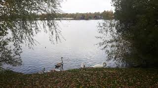 Me Waking Up The Next Day On My Awesome Tattershall Lakes Aweome One Week Holiday Looking [upl. by Aynnat]