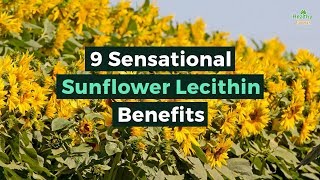 9 Sensational Sunflower Lecithin Benefits [upl. by Petulah285]