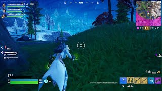 Fortnite win 9124 [upl. by Merp]