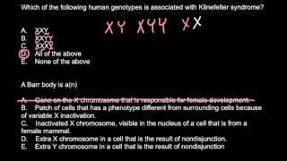 Klinefelter syndrome and Barr body explained [upl. by Olotrab821]