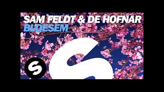 Sam Feldt amp De Hofnar  Bloesem Original Mix [upl. by Aisercal]