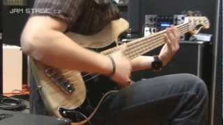 Musikmesse 2012  DINGWALL bass [upl. by Hartley604]