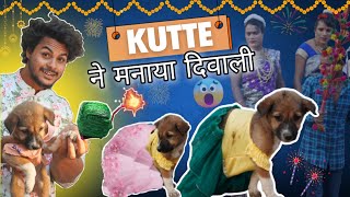 कुत्ते🐶मे मनाया Happy🎆Diwali  comedy diwalicomedy [upl. by Atteloj]