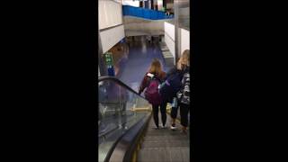 NORTH TERMINAL WALK THROUGH at Detroit Metro Airport DTW Part 2 [upl. by Yremrej]