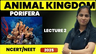 Porifera Sponges  Animal Kingdom  Lecture 2  Suman Yadav [upl. by Nyad]