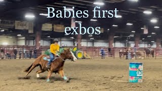 Exhibition Breakdown with a futurity barrel horse [upl. by Eremehc]