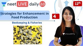 NEET Strategies for Enhancement in Food Production  L4  Live Daily 20  Unacademy NEET  Seep P [upl. by Hamrah]