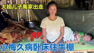 小梅久病卧床住牛棚，大儿子不靠谱还抢他妈的钱，这场面直接傻眼了！【阿龙游四方】 [upl. by Etnasa]