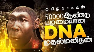 50000 ஆண்டு DNA in tamilnadu  Tamilar history in tamil  attirampakkam archaeological site [upl. by Ahsinom]