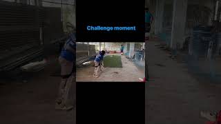 Classic Shots Played By Small Boy shorts cricket cricketshorts youtubeshorts cricketlover like [upl. by Aihsercal]