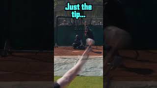 “Trevor Bauer Is Washed” [upl. by Dave462]