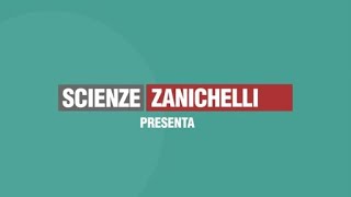 Come si prepara una soluzione  Scienze Zanichelli [upl. by Cortie]