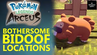 Bothersome Bidoof  Where to Find Missing Bidoof in Jubilife Village  Pokemon Legends Arceus [upl. by Silado]