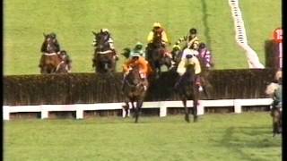 1995 Tote Cheltenham Gold Cup Chase [upl. by Rodl]