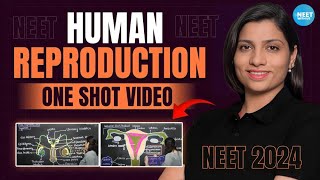 Human Reproduction Class 12 One Shot  All Theory Tricks amp PYQs  NEET 2024 Biology  Ritu Rattewal [upl. by Otrebilif]