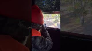 First hunting trip deerhunting deer okhunting shortsfeed shortsvideo shorts shortsviral [upl. by Greyson]