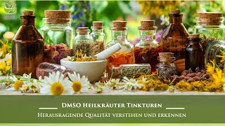 DMSO Heilkräuter Tinkturen – Herausragende Qualität verstehen und erkennen  Dr Hartmut Fischer [upl. by Halimeda]