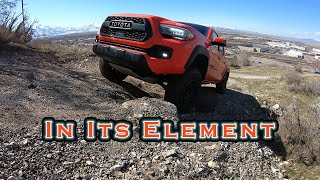 2023 Tacoma TRD Pro Off Road Test [upl. by Aihsar]