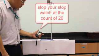 How to conduct the pendulum experiment [upl. by Lhary]