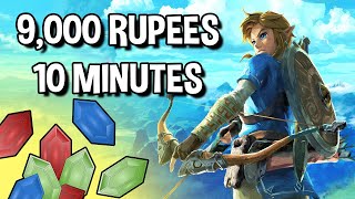 EASY RUPEE FARMING  No Glitches Or Randomness Required   Zelda Breath of the Wild [upl. by Nahtanaj]