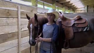 Stacy Westfall  Whats the Difference Browband VS One Ear Headstall [upl. by Kalinda383]