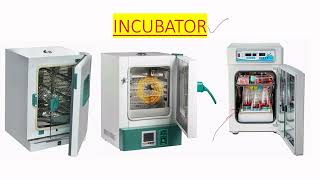 INCUBATOR USE IN MICROBIOLOGY LAB IN ENGLISH [upl. by Eirrod288]