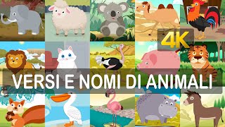 Impara i versi ed i nomi dei 40 animali in italiano risoluzione 4K [upl. by Cara88]