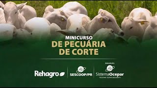 SescoopPR e Rehagro treinamento de excelência [upl. by Notserp]