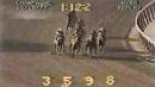 Alydar vs Affirmed  1977 Champagne Stakes 5th Meeting [upl. by Palmer]