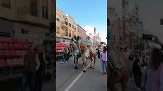 ®Desfile a Pelo® Caballos Del Vino 2024 Caravaca De La Cruz youtubeshorts youtube europa [upl. by Neyuq740]