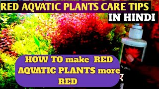 How To MAKE Red Aqvatic Plants MORE RED   secrets of red plants [upl. by Kulda501]