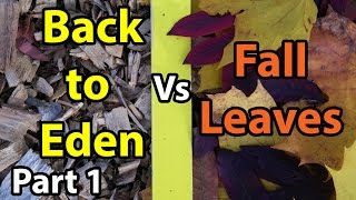 Back to Eden Organic Gardening 101 Method with Wood Chips VS Leaves Composting Garden Soil 1 [upl. by Didi454]